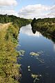 Cut-off Channel near Feltwell - geograph.org.uk - 1438917