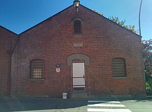 D76 Salt Meats Stores