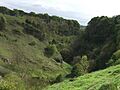 Deep Dale near Buxton