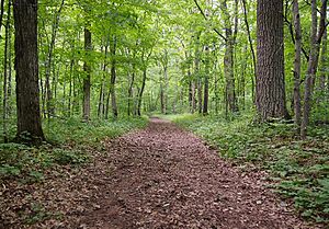 Deer Creek Loop