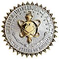 Defense Intelligence Agency Badge