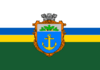 Flag of Dubrovytsia