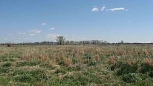 Eaker Site overview