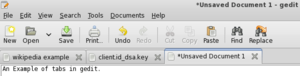 Gedit tab example