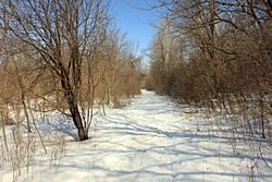 Gfp-minnesota-valley-state-park-valley-hiking-trail.jpg