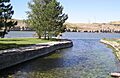Giant Springs12