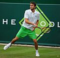 Gilles Simonm, Stoke Park 2011