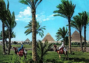 Giza1960s