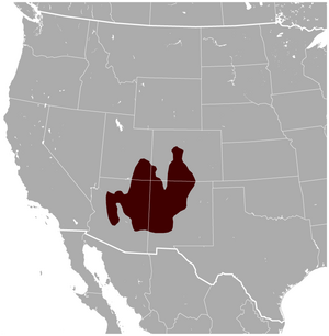 Gunnison's Prairie Dog Cynomys gunnisoni distribution map.png
