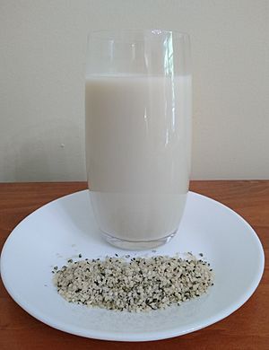 A glass of hemp milk