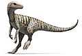 Herrerasaurus ischigualastensis Illustration