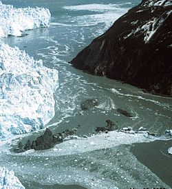 Hubbard Glacier May 20.2000