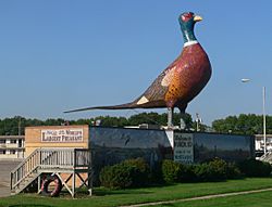 "World's Largest Pheasant" sculpture on U.S. Highway 14