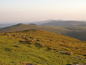 Isle of Man Terrain - Snaefell Mountain View - kingsley - 24-JUN-09