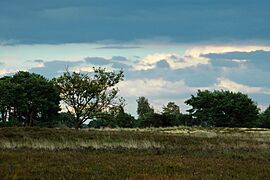 Kampina Boxtel