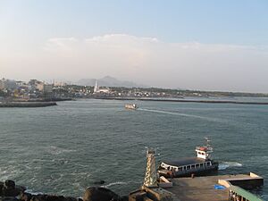 Kanyakumari as seen from Tiruvalluvar Statue