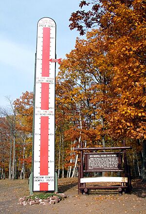 Keweenaw Snow Thermometer