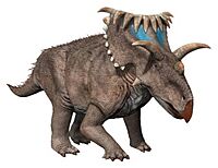 Kosmoceratops NT small.jpg