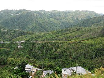 La Cordillera Central desde el mirado en Orocovis, Puerto Rico