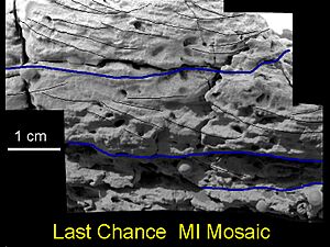 LastChance D JG03-B058R1 br