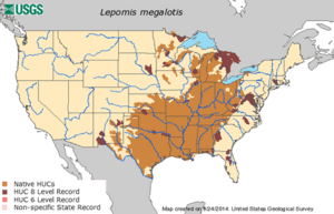 Lepomis megalotis range map
