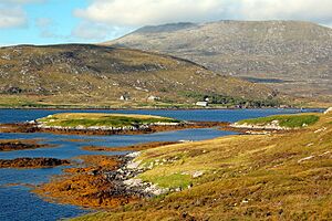 Loch Aineort - geograph.org.uk - 518727