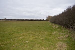 Long Herdon Meadow 2