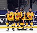 Luleå HF players 2013-01-17