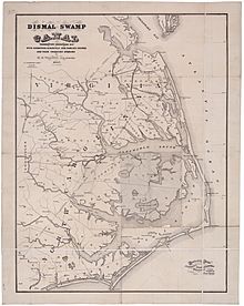 Map of the Dismal Swamp Canal 1867