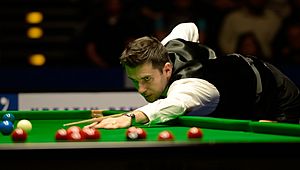 Mark Selby at Snooker German Masters (DerHexer) 2015-02-08 38