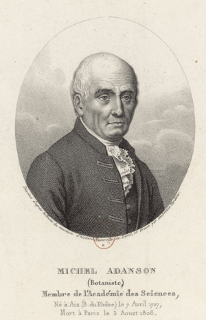 Michel Adanson (1727-1806)