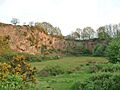 Morley Quarry, Shepshed, looking south - geograph.org.uk - 85022