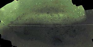 Mosaic os the shipwreck site of the Colonist 1861-1890