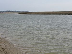 Near the mouth of the River Stour - geograph.org.uk - 1298941
