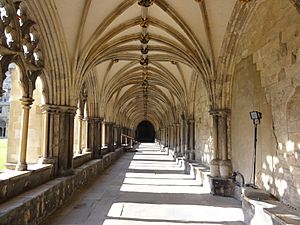 Norwich Cathedral cloisters