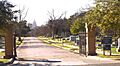 Oakwood cemetery 2007