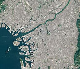 Osaka by Sentinel-2, 2020-10-27