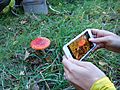 Photographing a Fly Agaric on a Fungus Foray