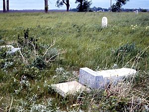 Pioneer Cemetery, Hull, IA 1973 (6478172723)