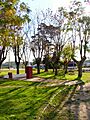 Plaza in Empalme Olmos