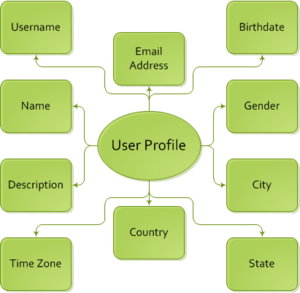 Profile Information Model