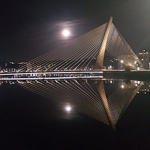 Puente de los Tirantes de noche.jpg