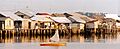 RIAU WEB