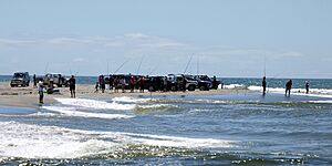 Rangitaiki River Fishing
