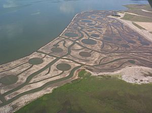 Restoration of Lavaca Bay, Texas