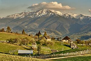 Rodnei Mountains, Maramures, Romania. (41659834262)
