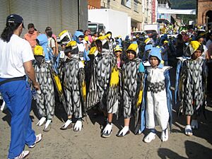 San Vicente Migratory Bird Festival (4604552424)