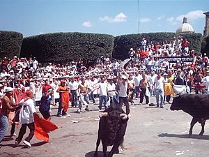 Sanmiguelada2005