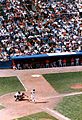 Shea stadium