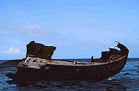 Shipwreck at Black Nab, near Saltwick Bay - geograph.org.uk - 1718908